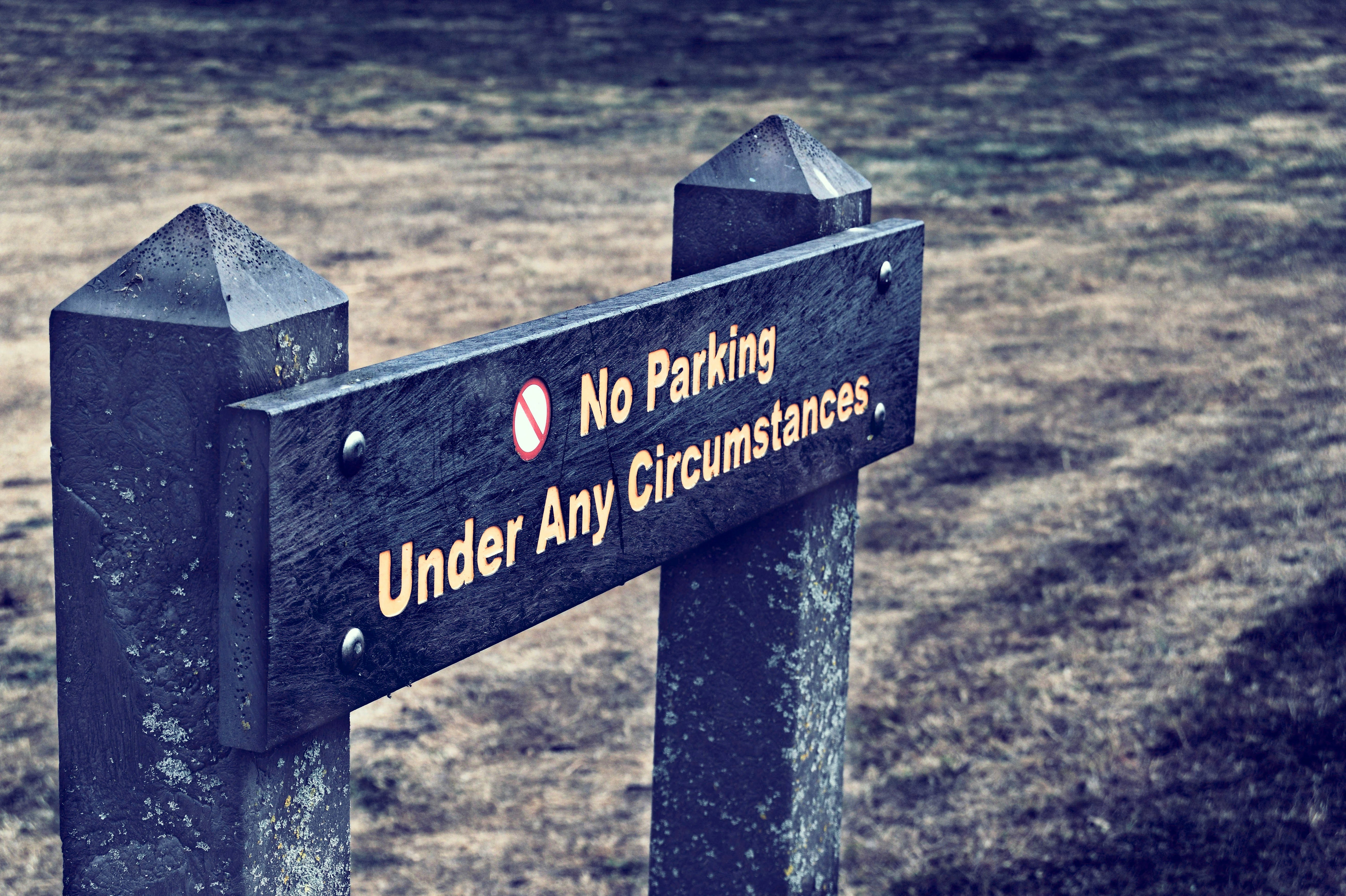 Casual Entertainment Experience